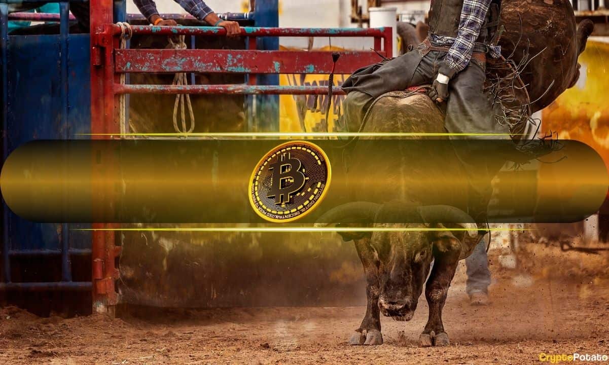 Few Reasons to Believe Bitcoin’s Price Will Rally in Q4