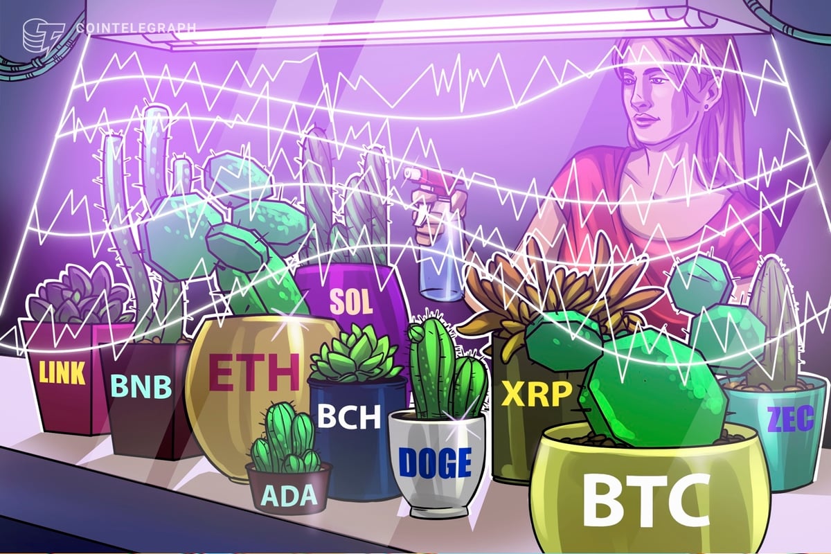 Price Predictions: BTC, ETH, BNB, XRP, SOL, DOGE, ADA, BCH,