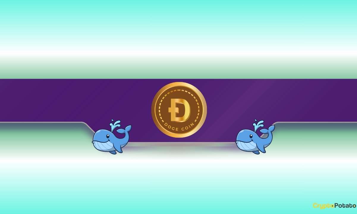 DOGE Price Dumps to Monthly Lows but Dogecoin Whales Load