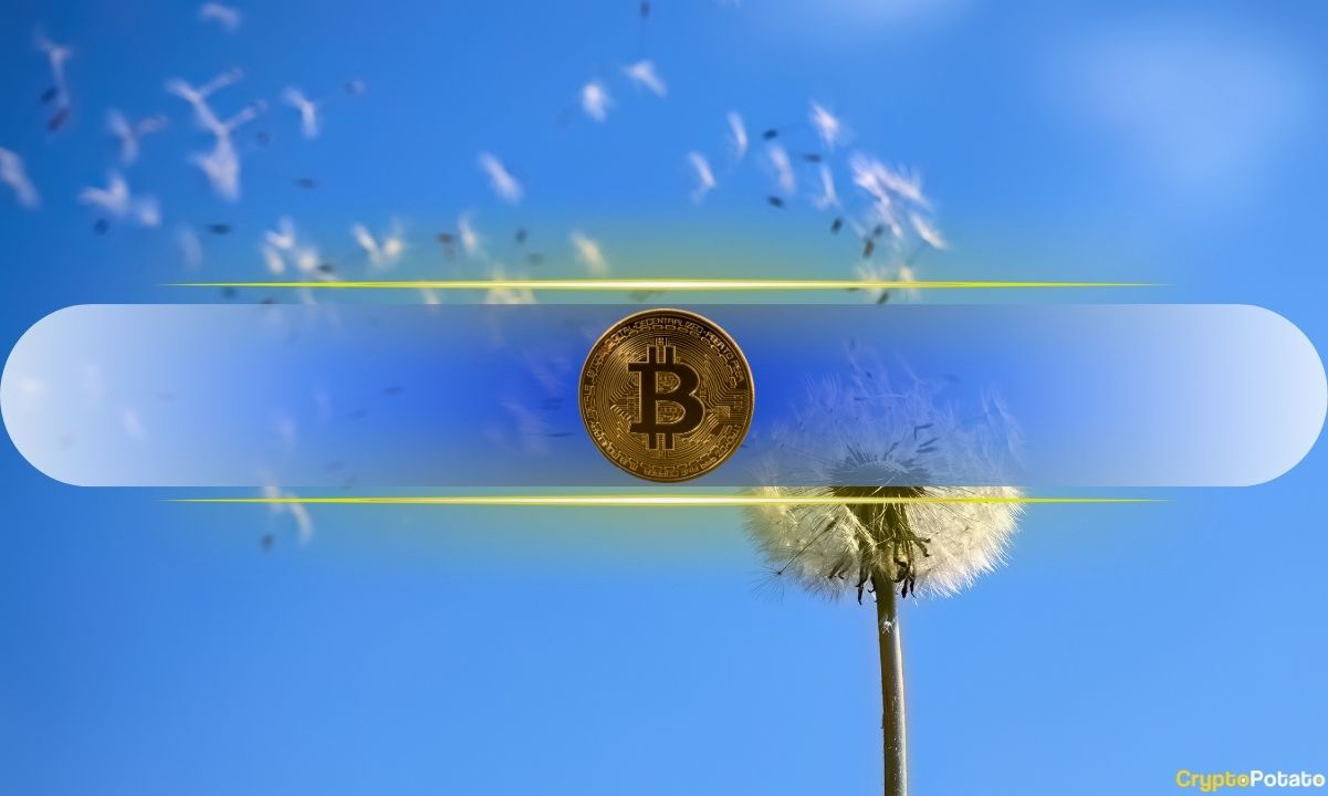 Bitcoin’s Next Big Move Hinges on Break Above This Key
